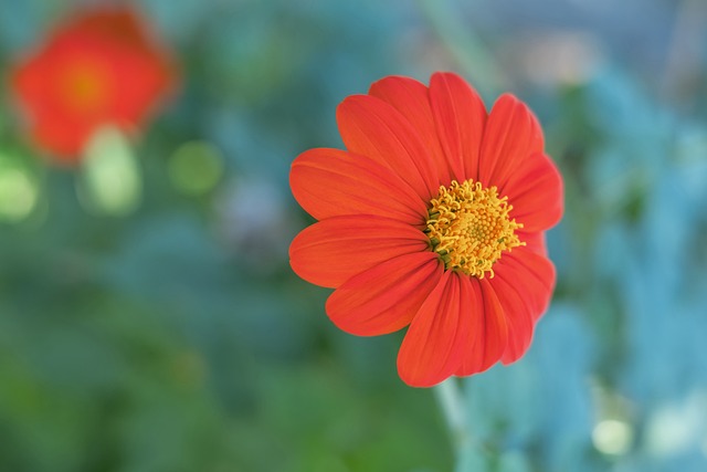 無論從技術 無論從技術