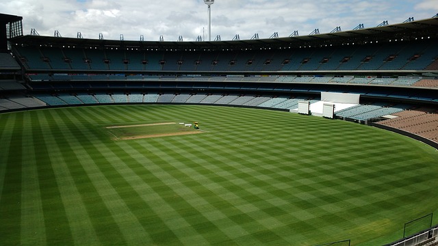 不仅仅追求 不仅仅追求