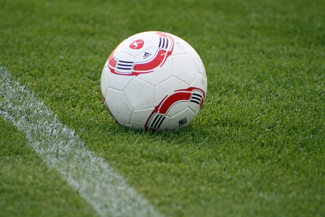 会的广泛关 会的广泛关