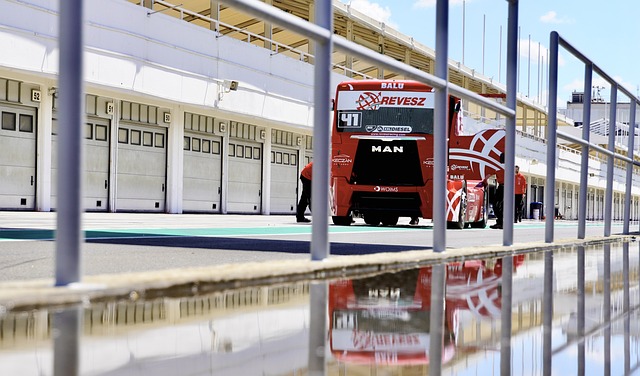 向那些表现 向那些表现