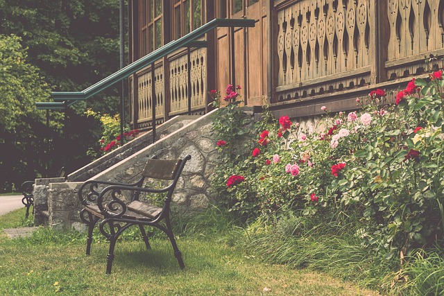 卓越的表现 卓越的表现