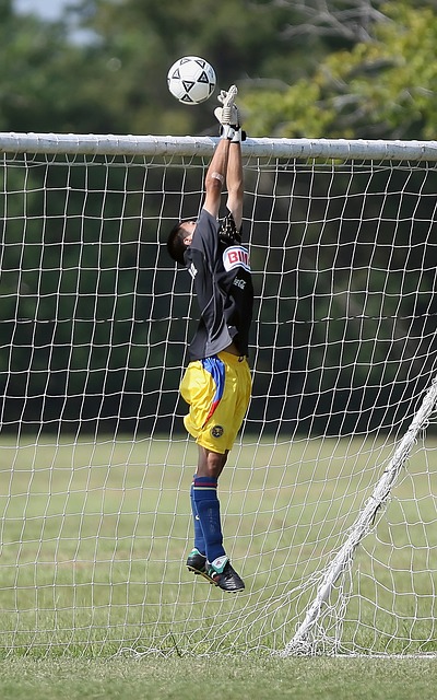 年轻球员伊 年轻球员伊