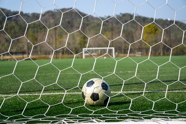 新增亮點 新增亮點